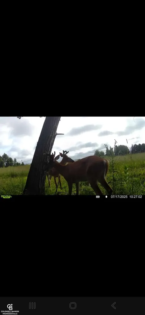 5834 Brockway Road Elk Township MI 48466