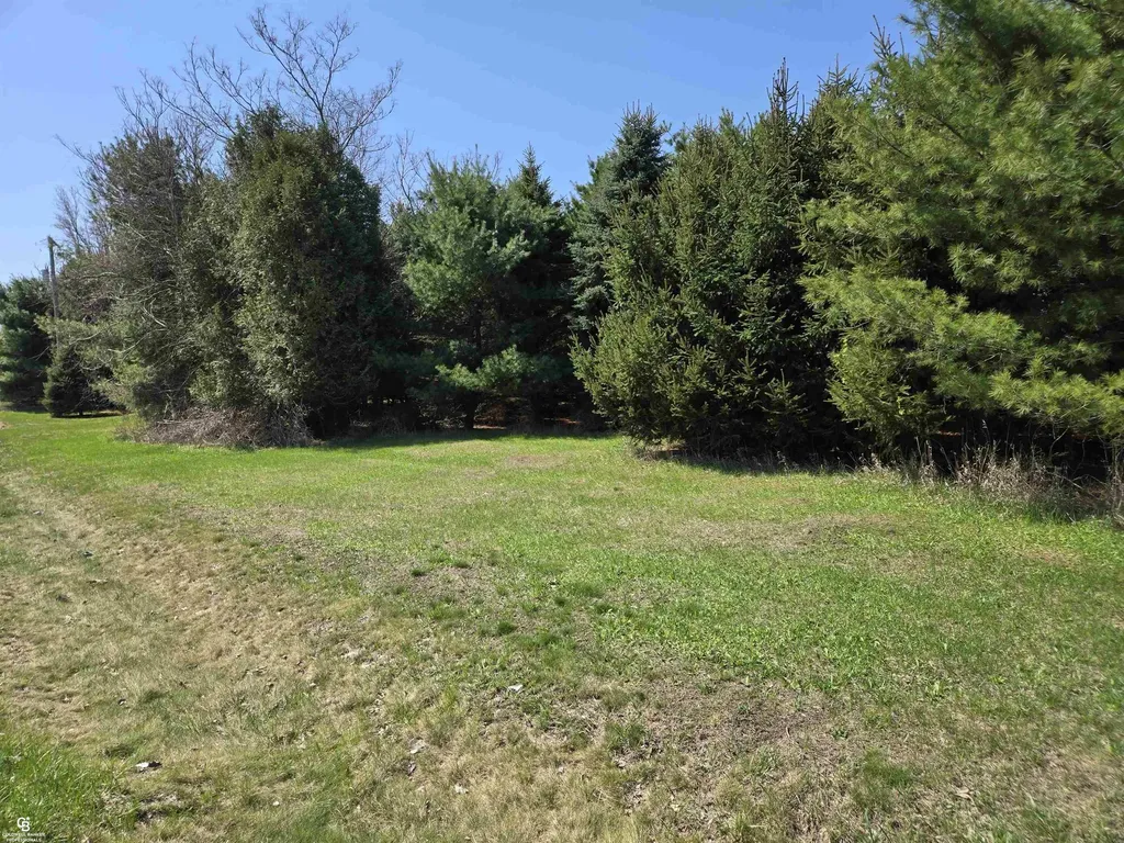 5834 Brockway Road Elk Township MI 48466