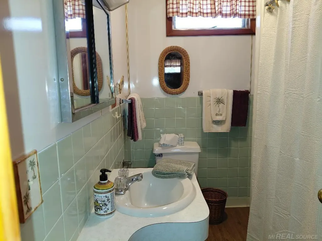 5806 N Lakeshore Road Forester Township MI 48465