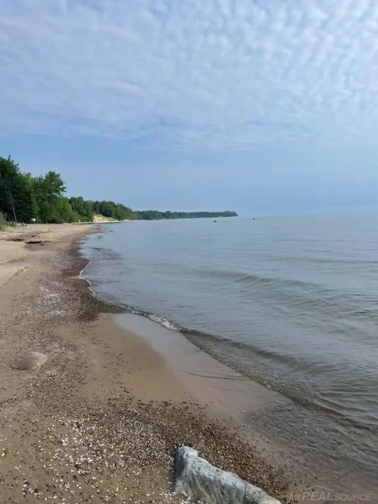 5806 N Lakeshore Road Forester Township MI 48465