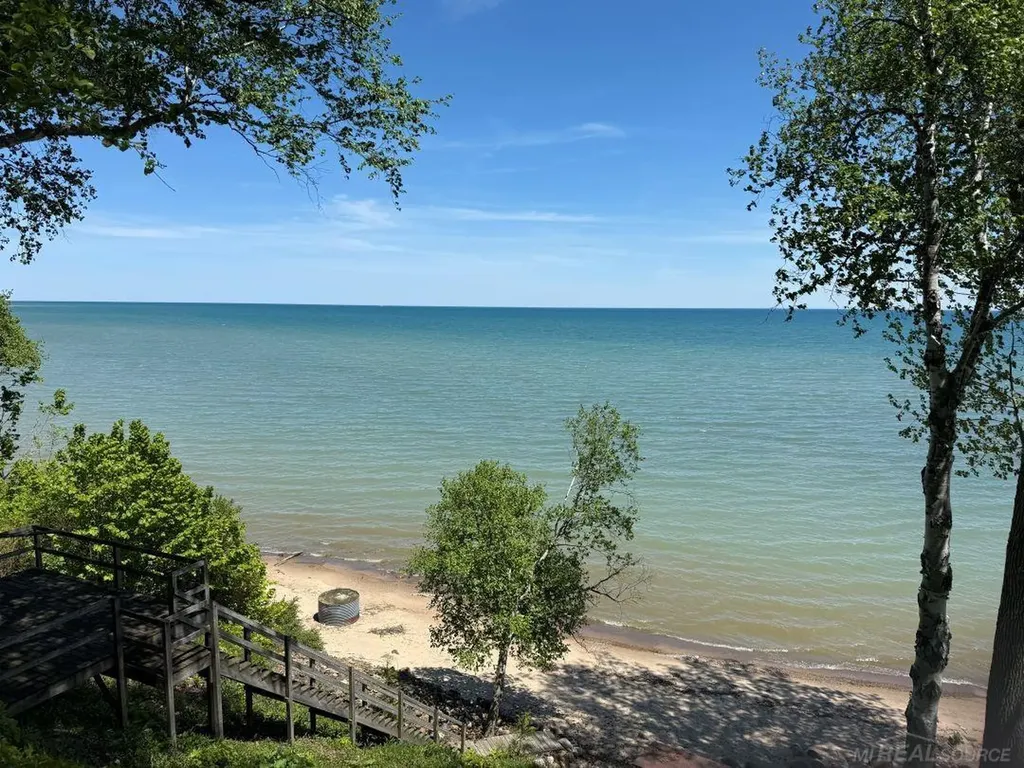 5806 N Lakeshore Road Forester Township MI 48465