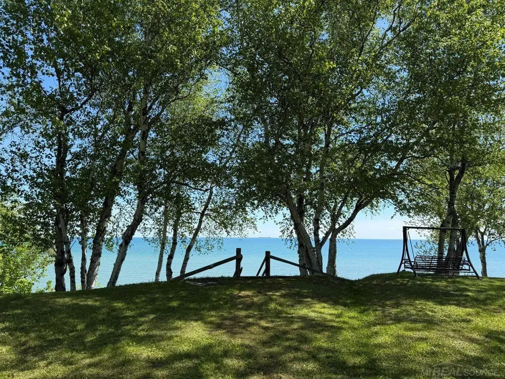 5806 N Lakeshore Road Forester Township MI 48465