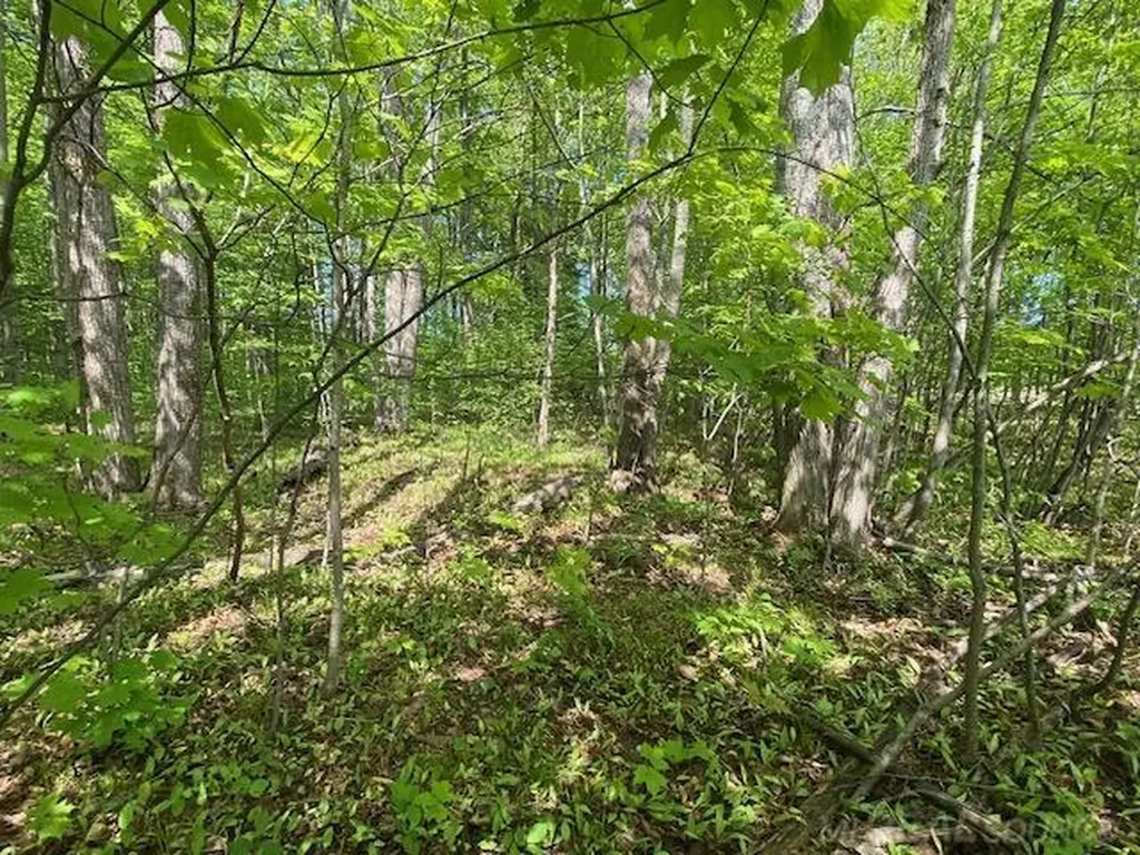 7483 NE Twin Lake Road Coldsprings Township MI 49659
