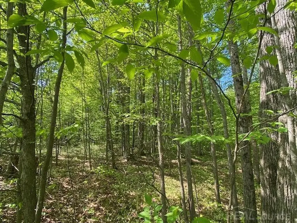7483 NE Twin Lake Road Coldsprings Township MI 49659
