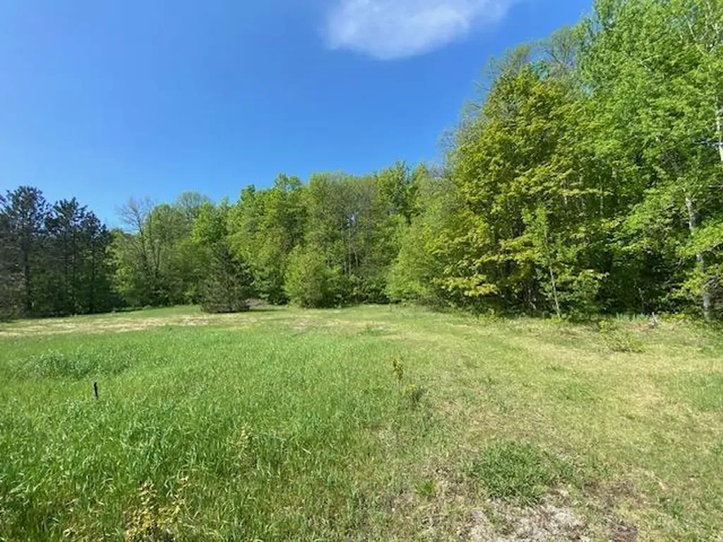 7483 NE Twin Lake Road Coldsprings Township MI 49659