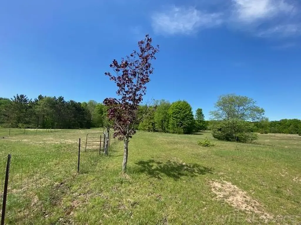 7483 NE Twin Lake Road Coldsprings Township MI 49659
