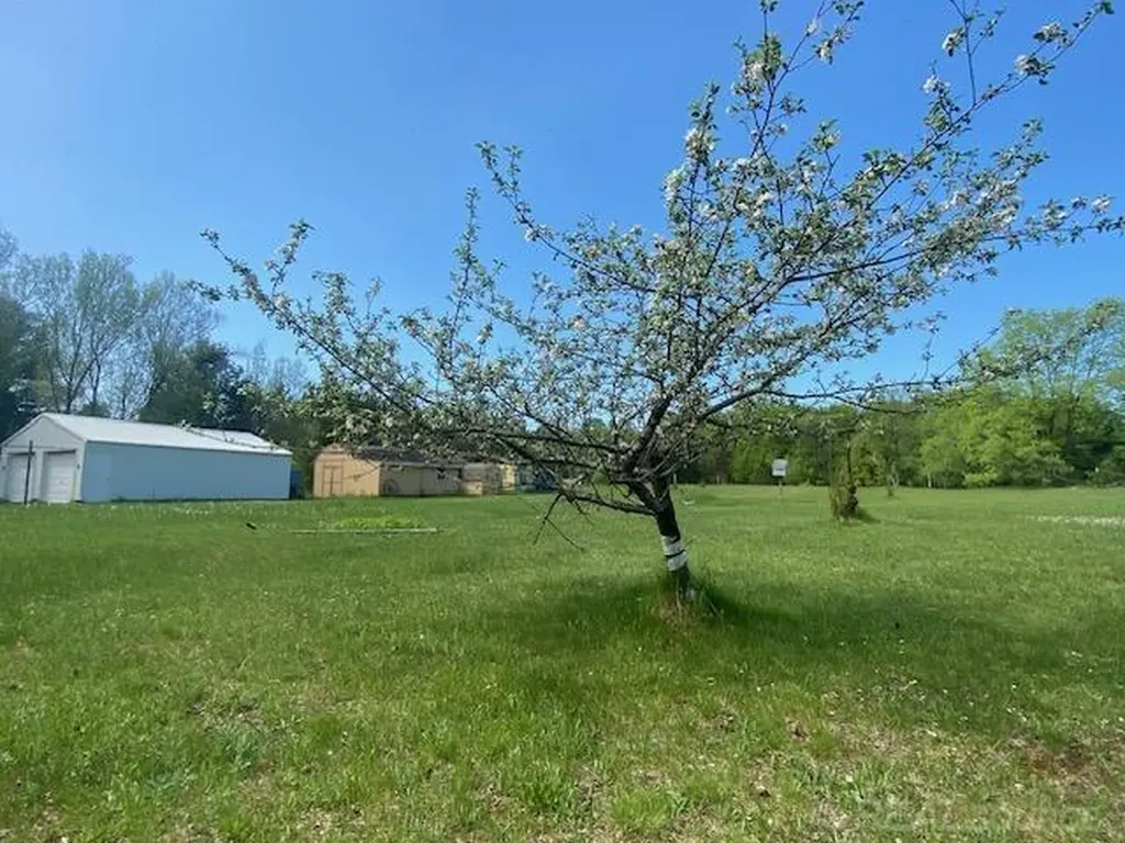 7483 NE Twin Lake Road Coldsprings Township MI 49659