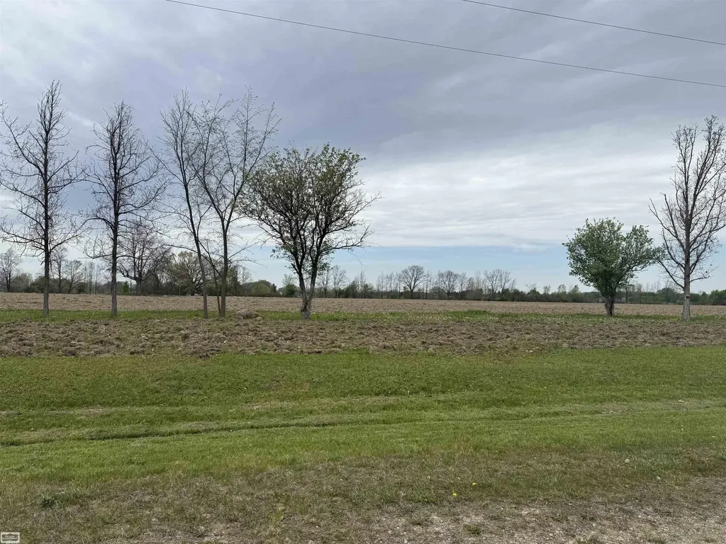 610 Windmill Lane Imlay City City MI 48444