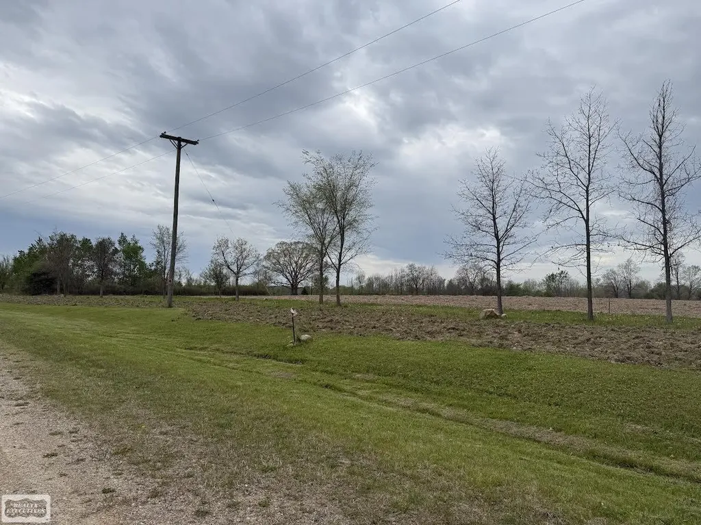 610 Windmill Lane Imlay City City MI 48444