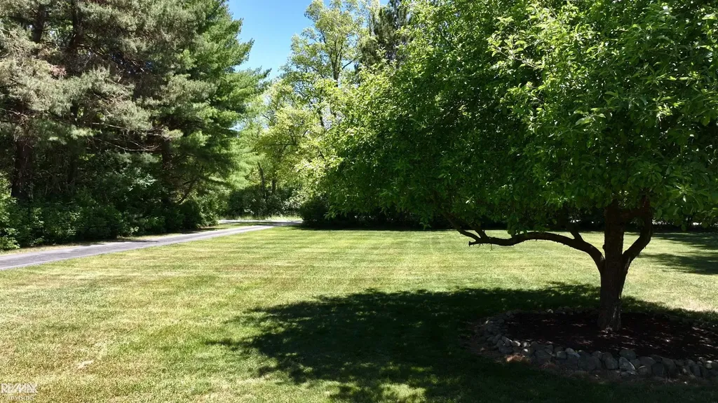 4299 Rabidue Road Clyde Township MI 48049