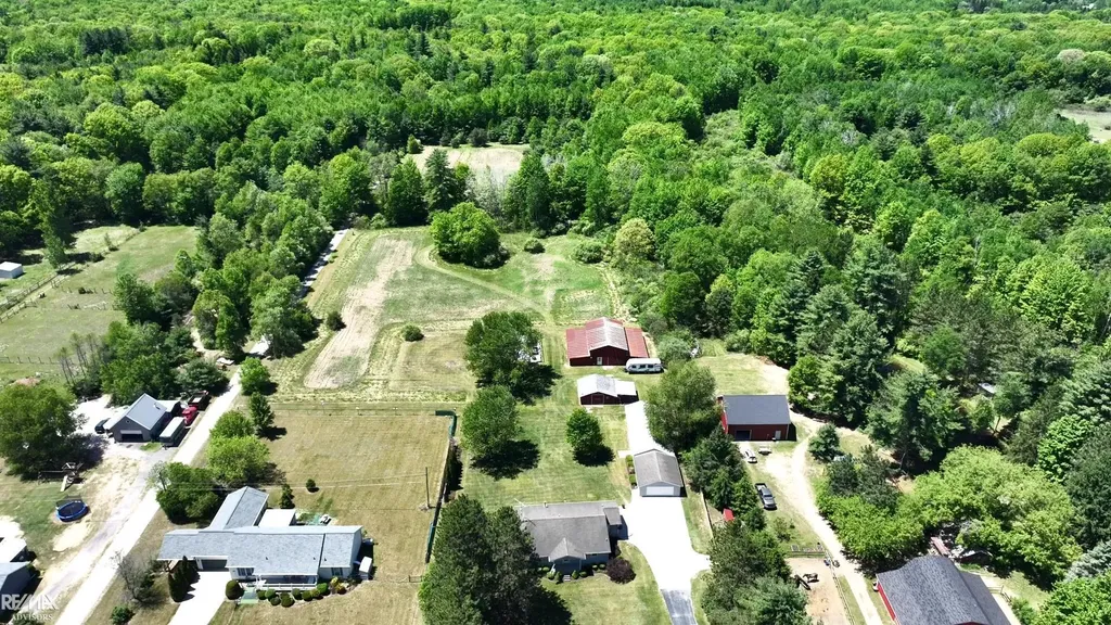 4299 Rabidue Road Clyde Township MI 48049