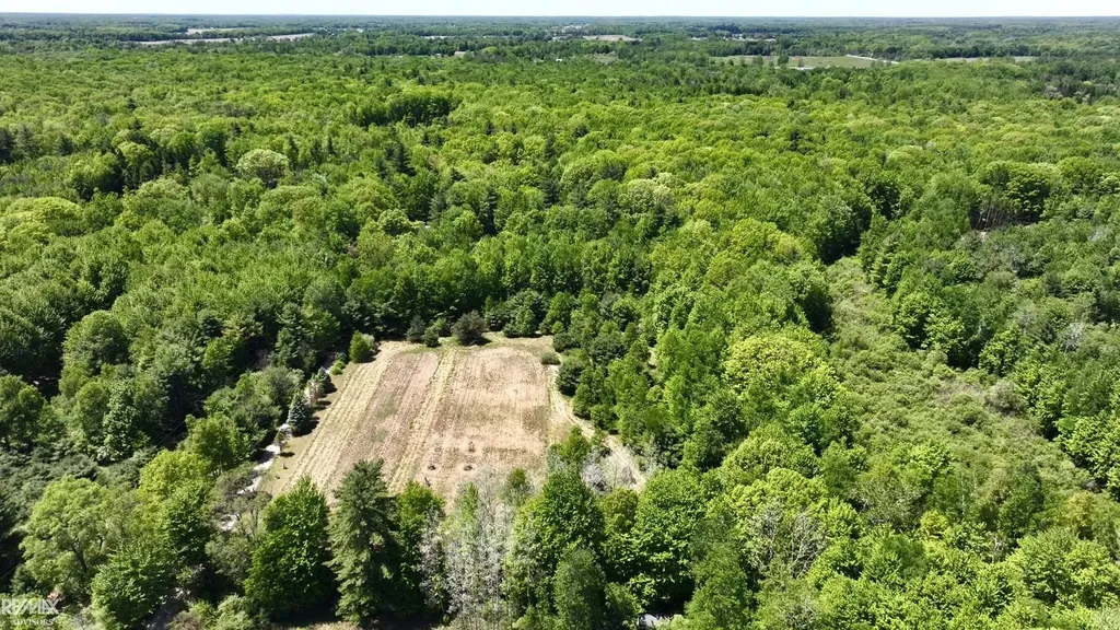 4299 Rabidue Road Clyde Township MI 48049