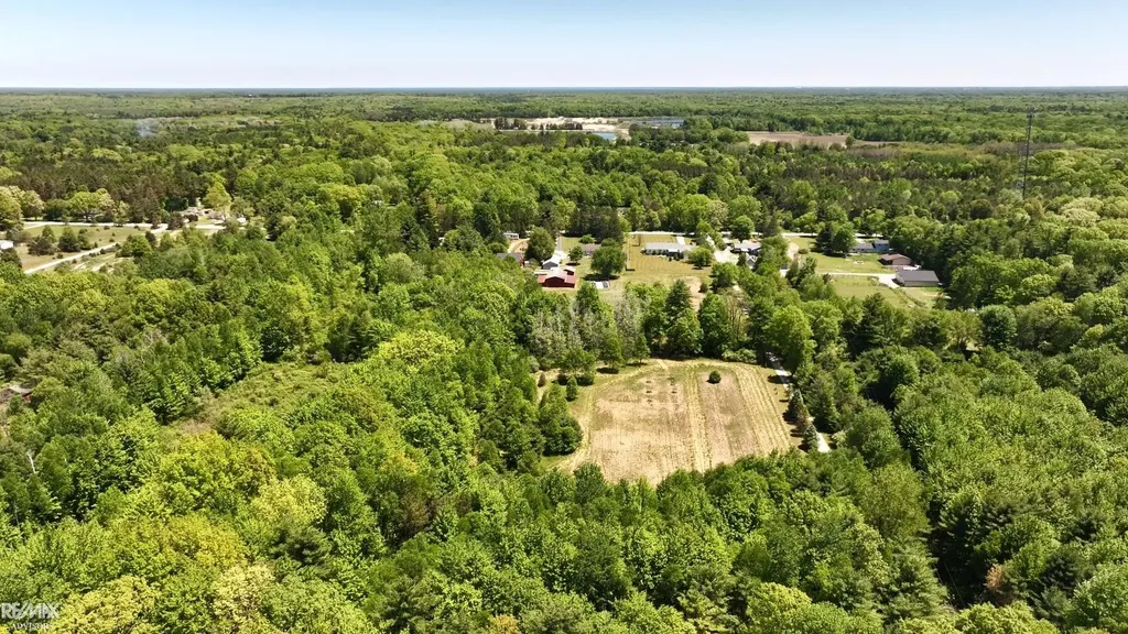 4299 Rabidue Road Clyde Township MI 48049