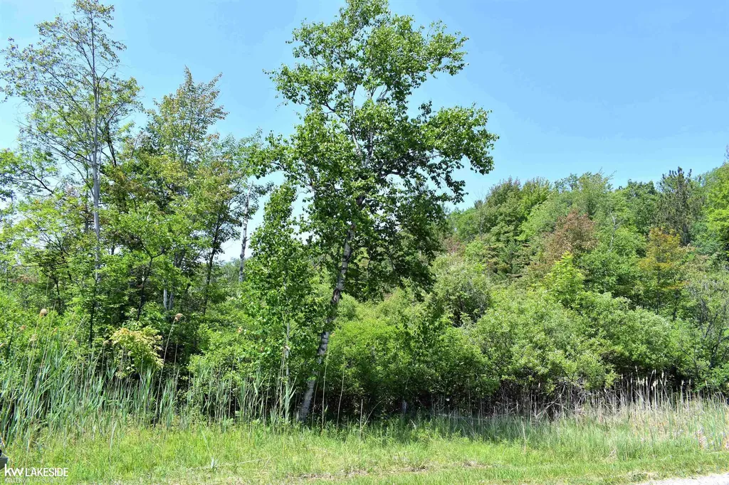 0 Oak Beach Road Lake Township MI 48467