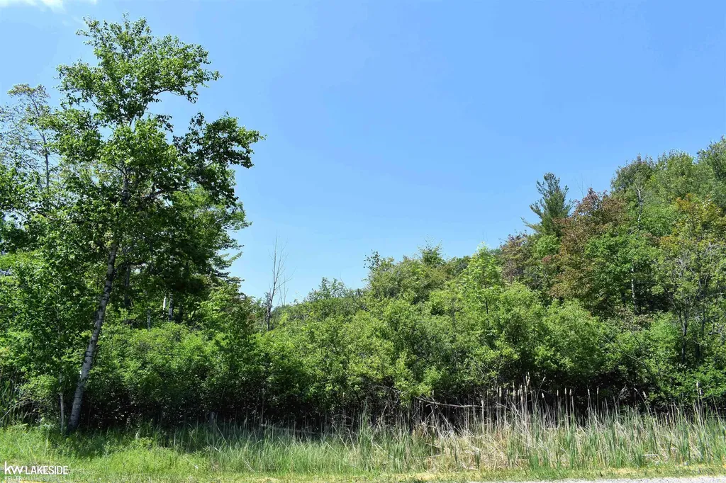 0 Oak Beach Road Lake Township MI 48467