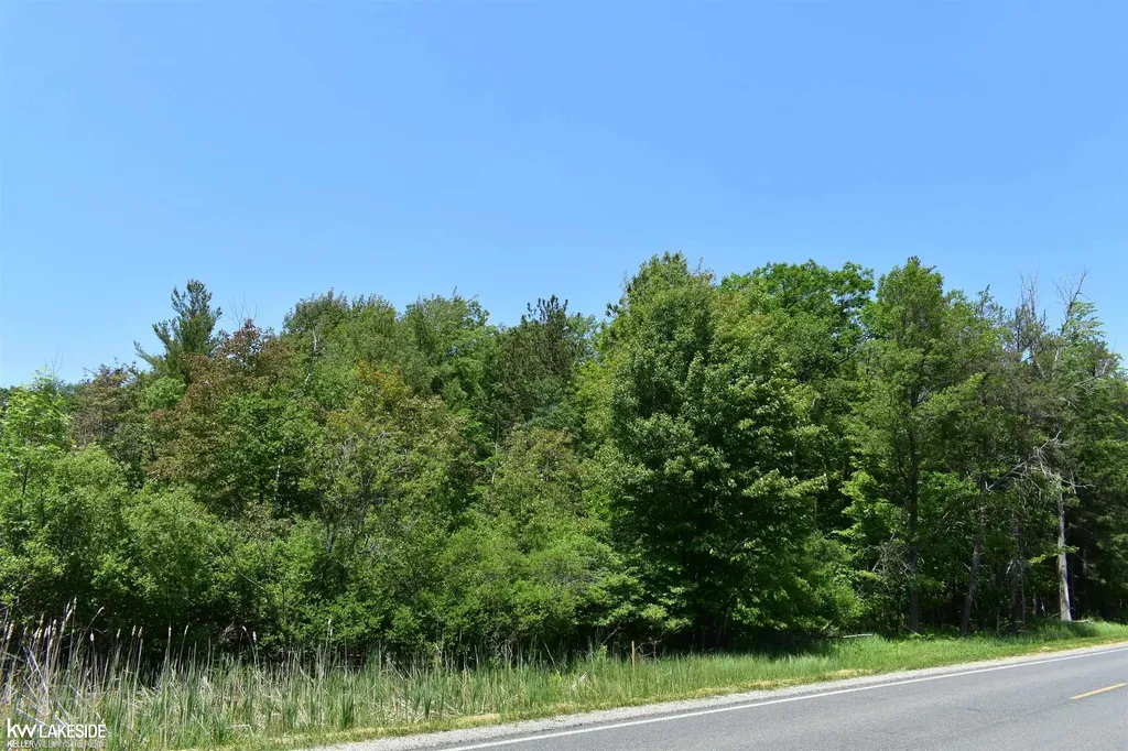 0 Oak Beach Road Lake Township MI 48467