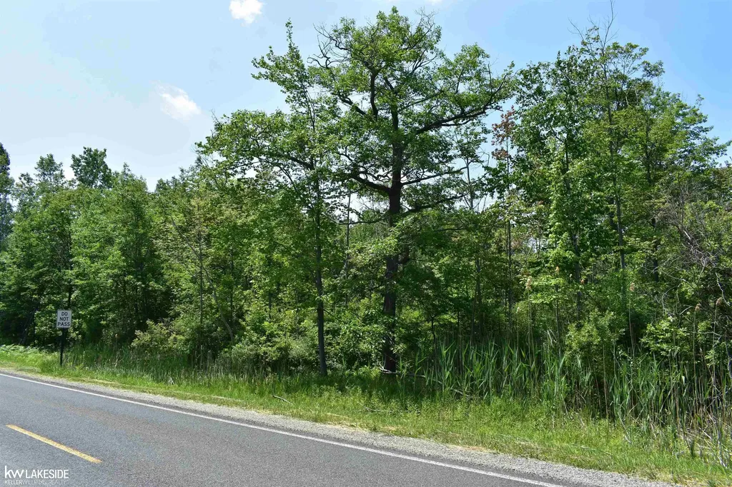 0 Oak Beach Road Lake Township MI 48467