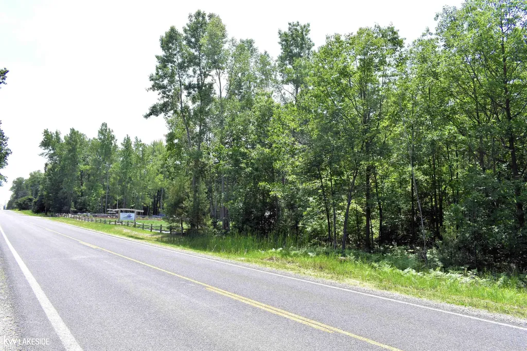 0 Oak Beach Road Lake Township MI 48467