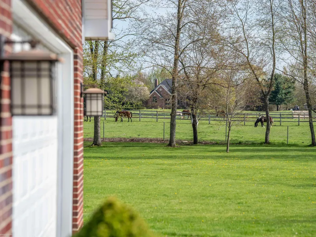 202 Donna Mae Drive Leonard Village MI 48367