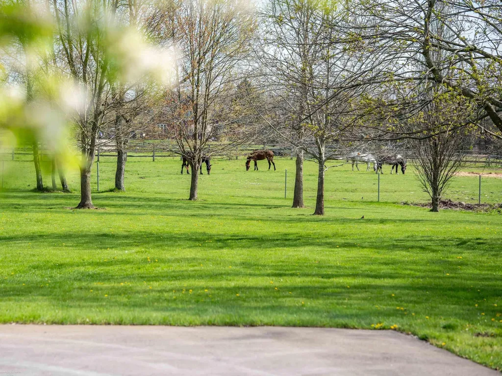 202 Donna Mae Drive Leonard Village MI 48367