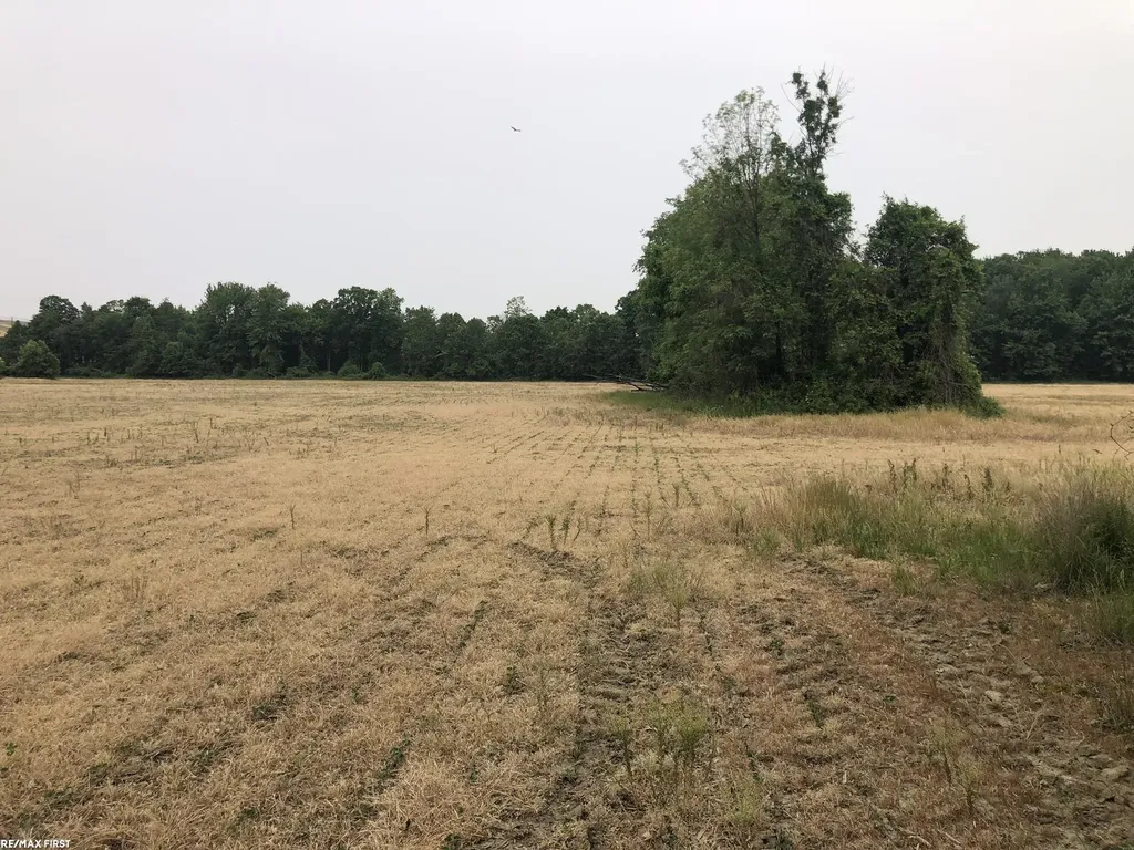 0 29 Mile Road Lenox Township MI 48050