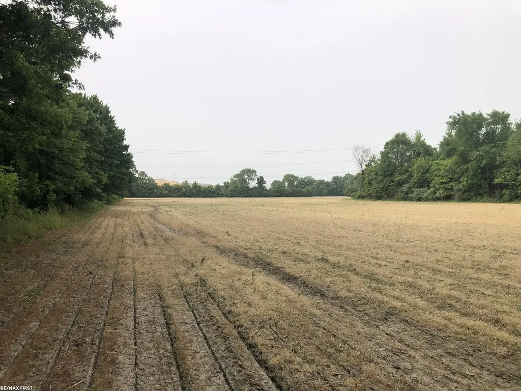 0 29 Mile Road Lenox Township MI 48050