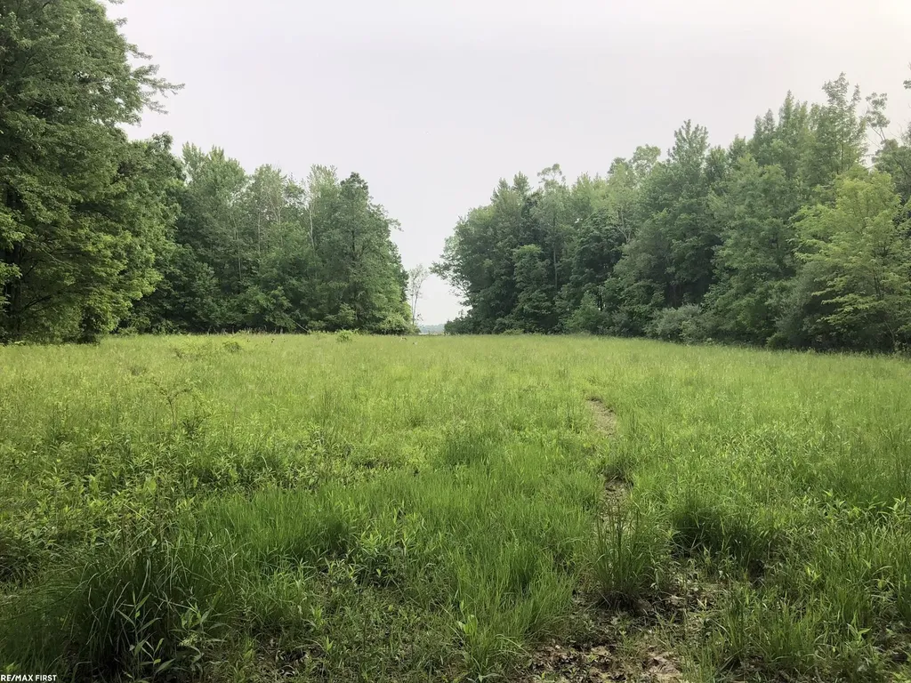 0 29 Mile Road Lenox Township MI 48050