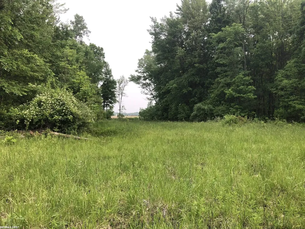 0 29 Mile Road Lenox Township MI 48050