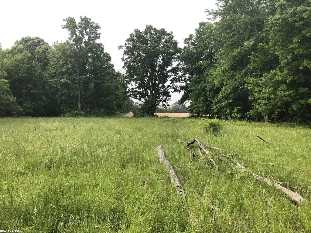 0 29 Mile Road Lenox Township MI 48050