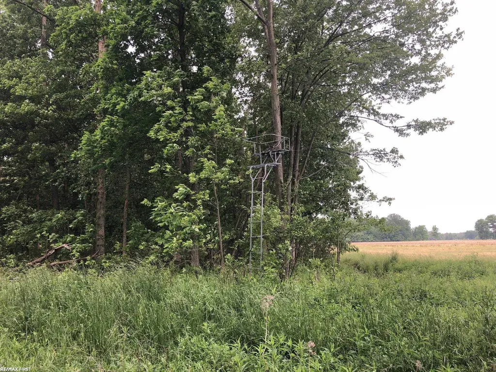 0 29 Mile Road Lenox Township MI 48050
