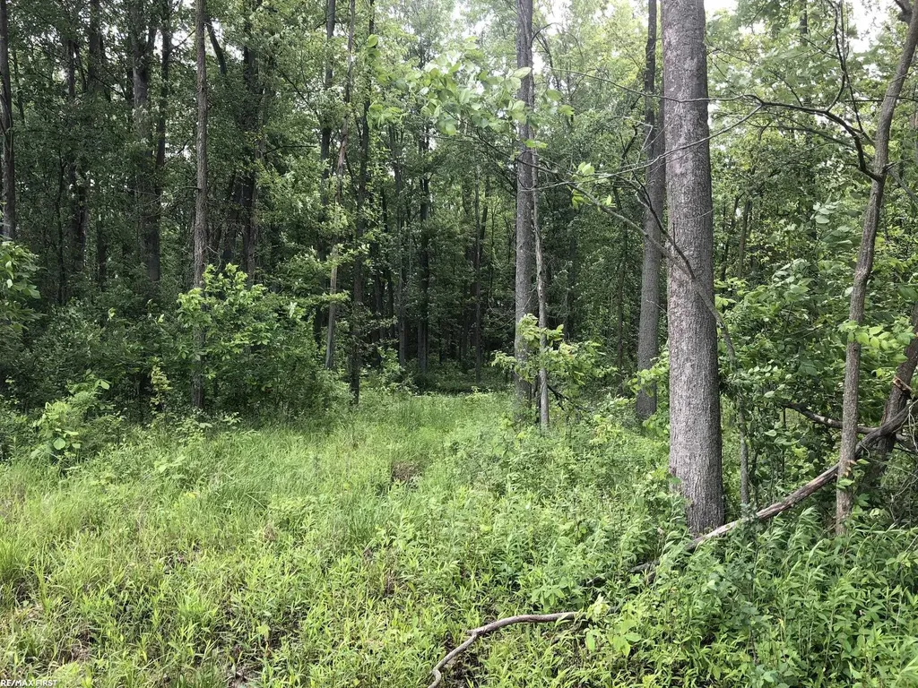 0 29 Mile Road Lenox Township MI 48050
