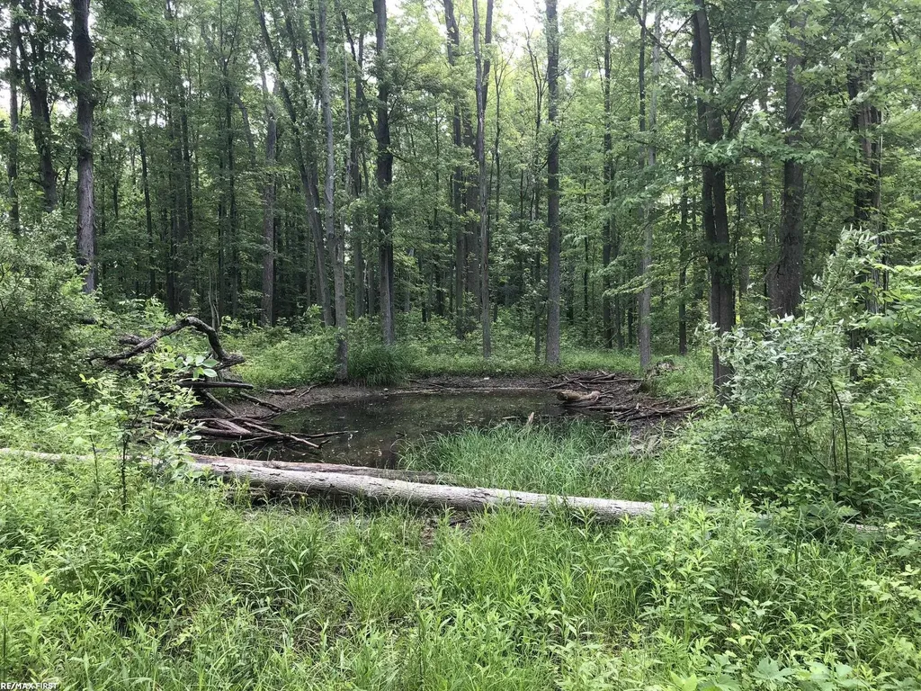 0 29 Mile Road Lenox Township MI 48050