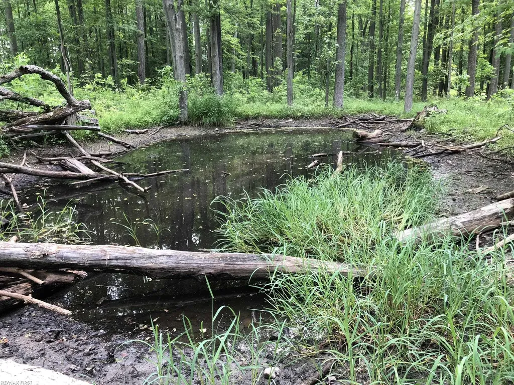 0 29 Mile Road Lenox Township MI 48050