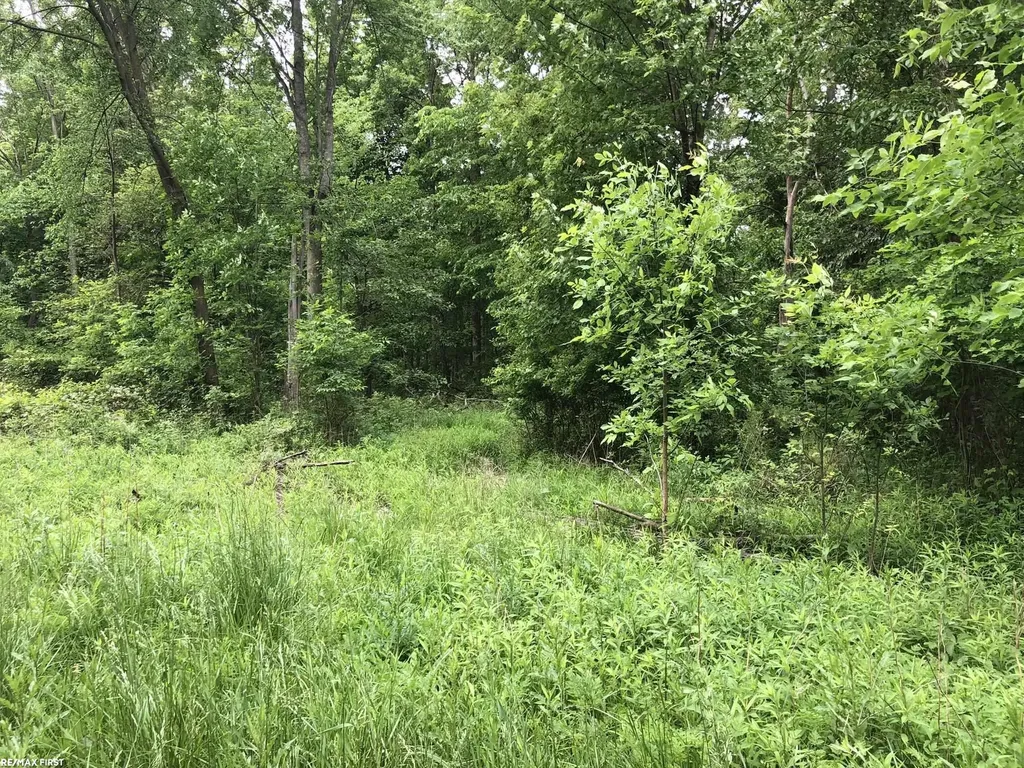 0 29 Mile Road Lenox Township MI 48050