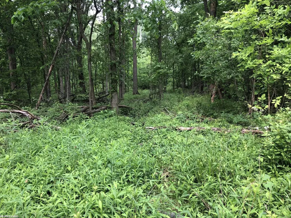 0 29 Mile Road Lenox Township MI 48050