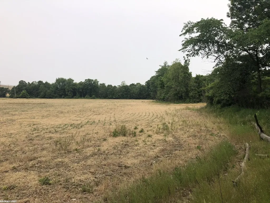 0 29 Mile Road Lenox Township MI 48050