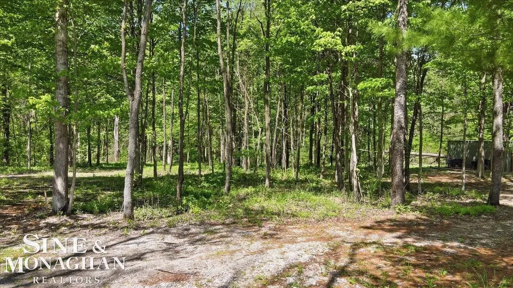 Vl S Bartlett Road St. Clair Township MI 48079