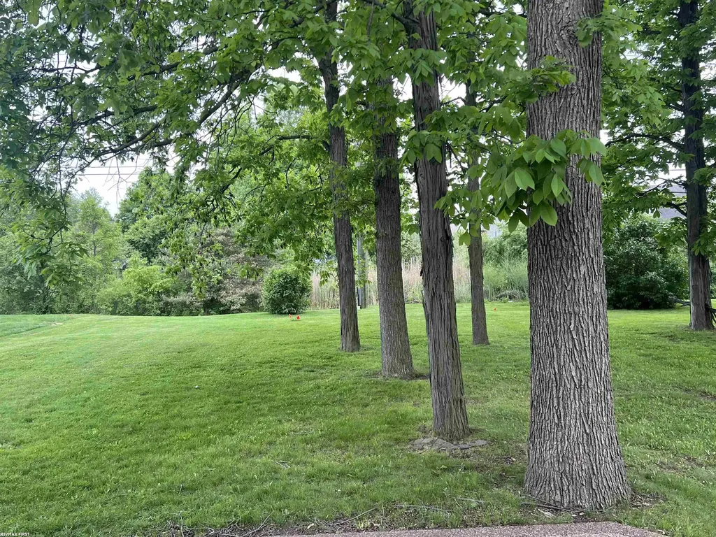 26500 Fairwood Drive Chesterfield Township MI 48051
