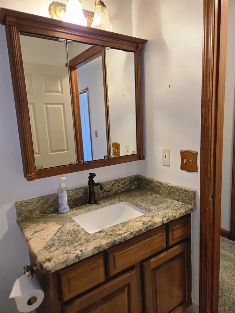 11087 Shadow Creek Court Sterling Heights City MI 48313