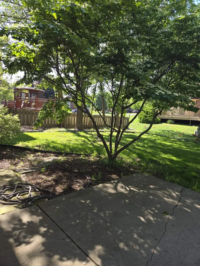 11087 Shadow Creek Court Sterling Heights City MI 48313