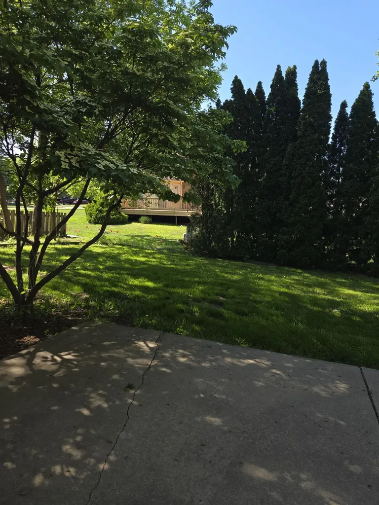11087 Shadow Creek Court Sterling Heights City MI 48313