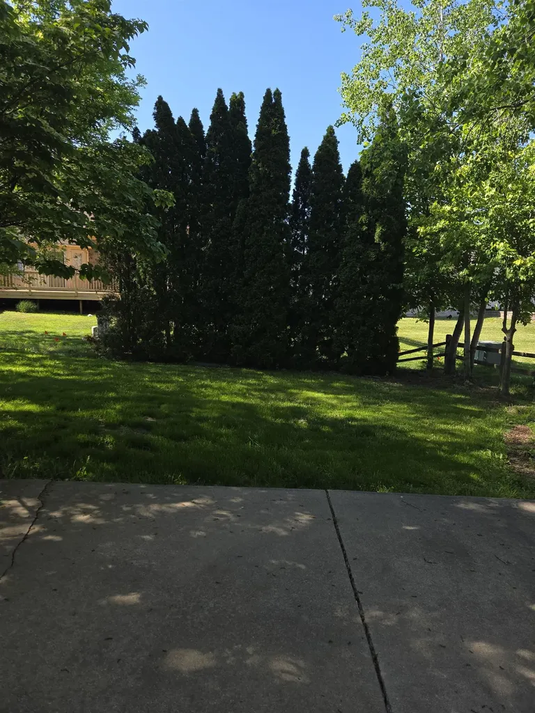 11087 Shadow Creek Court Sterling Heights City MI 48313