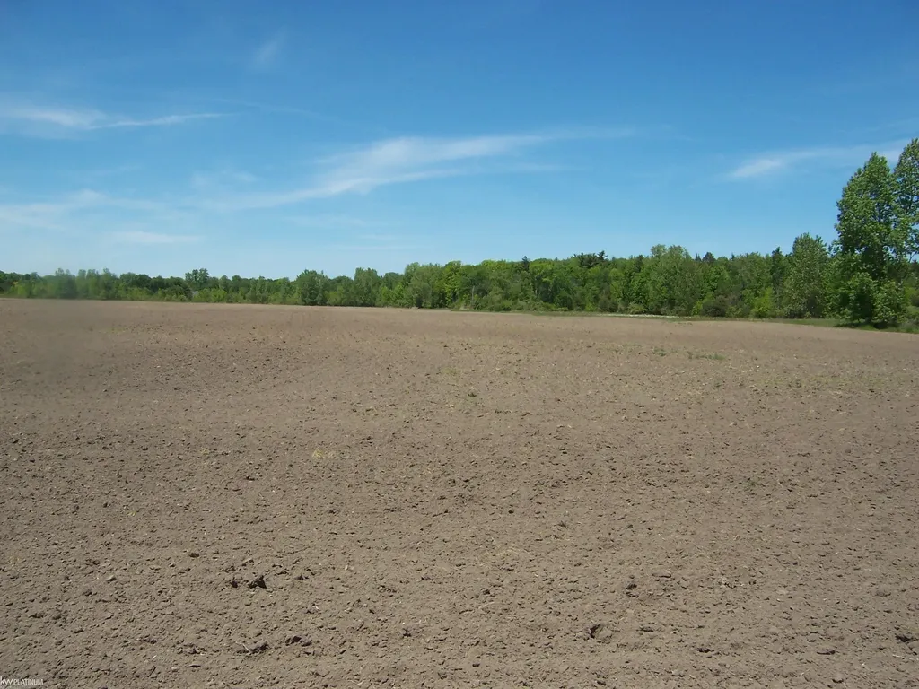 Lot 8 Lapeer Road Kimball Township MI 48074