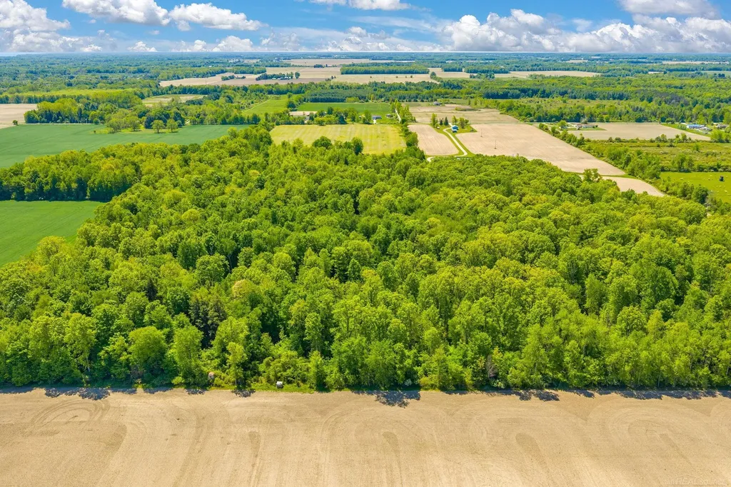 0000 Wellman Line Road Worth Township MI 48422
