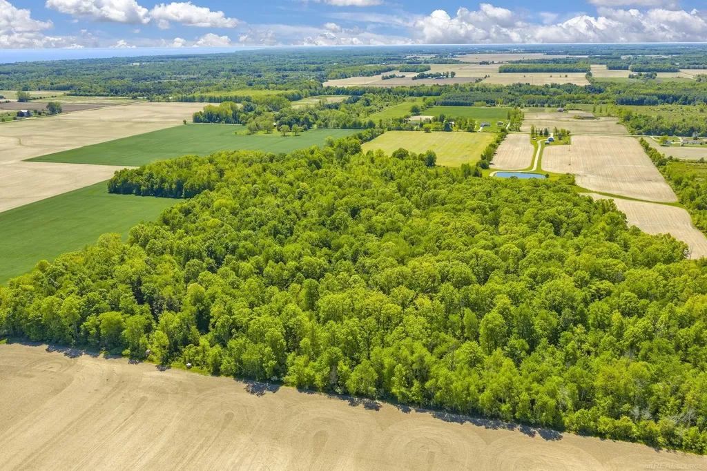 0000 Wellman Line Road Worth Township MI 48422