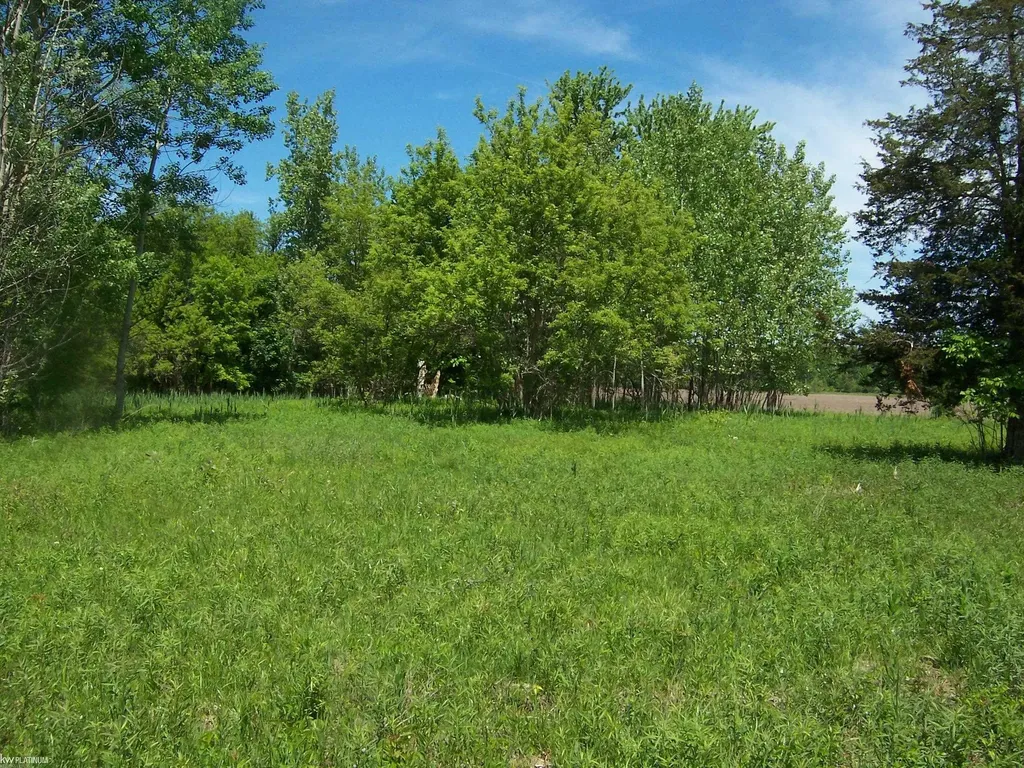 Lot 1 Lapeer Road Kimball Township MI 48074