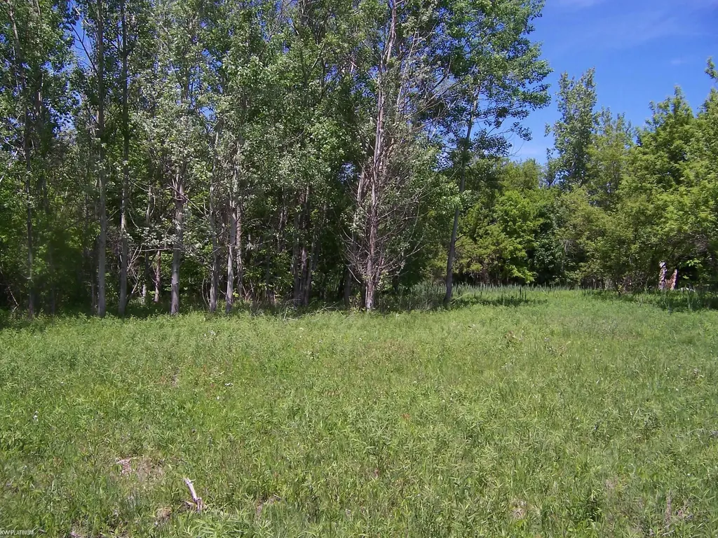 Lot 1 Lapeer Road Kimball Township MI 48074
