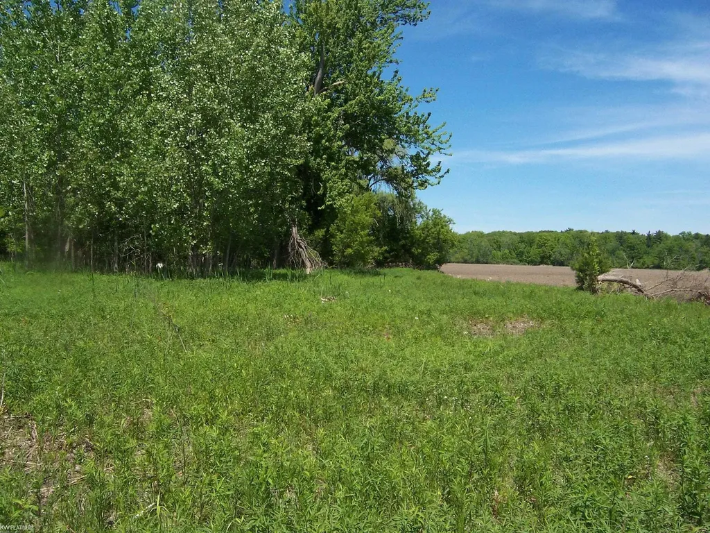 Lot 2 Lapeer Road Kimball Township MI 48074