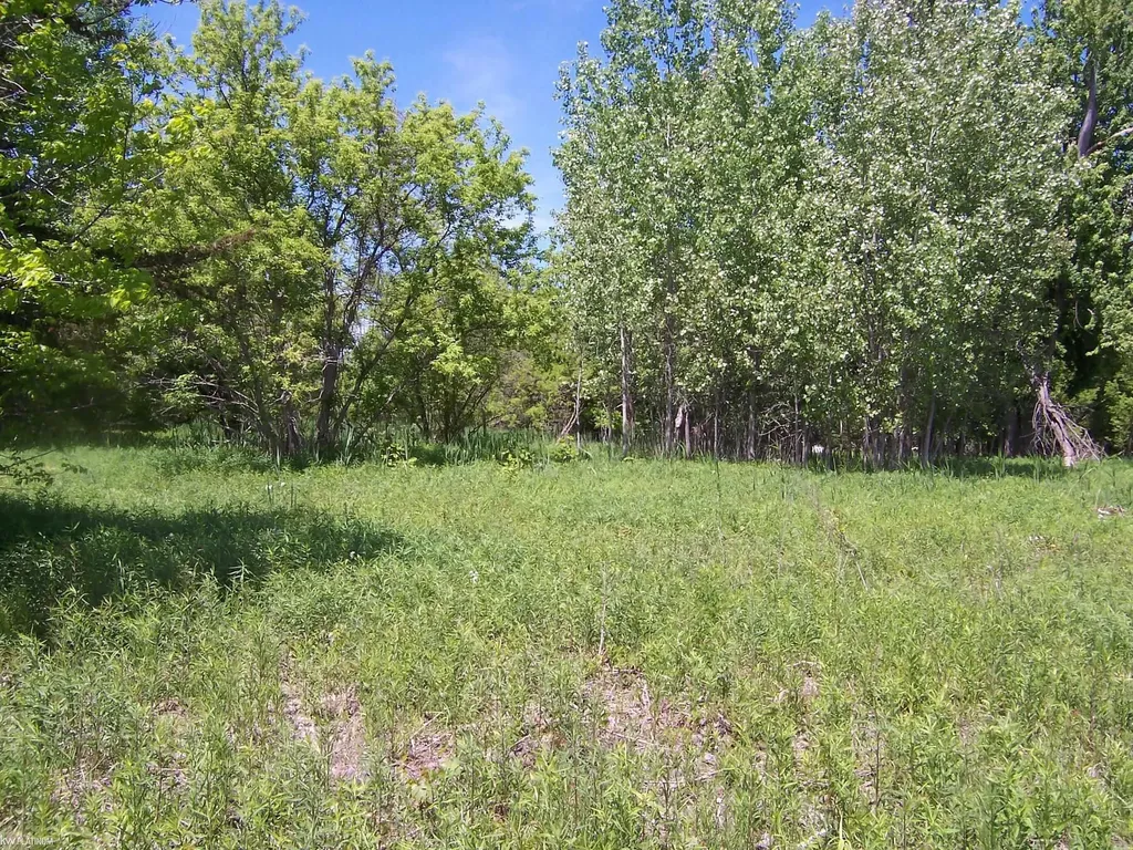 Lot 2 Lapeer Road Kimball Township MI 48074
