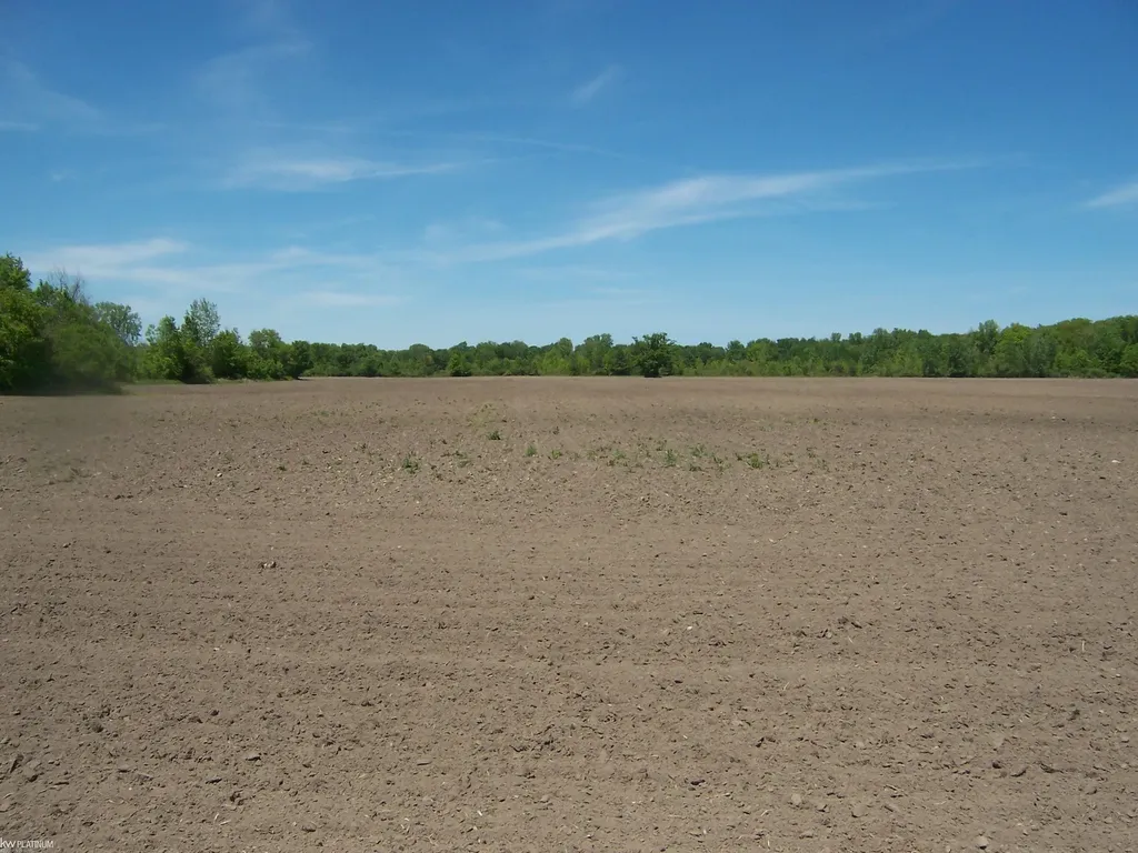 Lot 4 Lapeer Road Kimball Township MI 48074